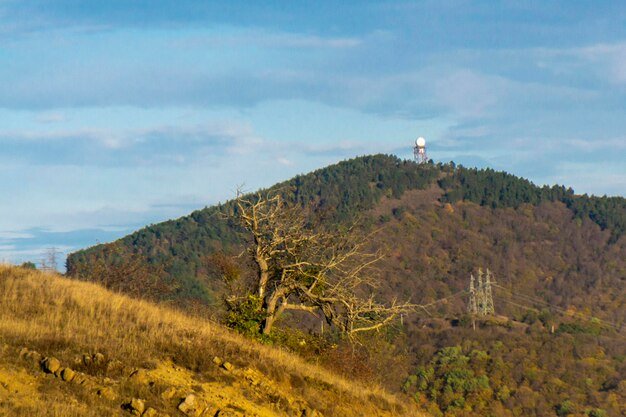 monte quercia wiki
