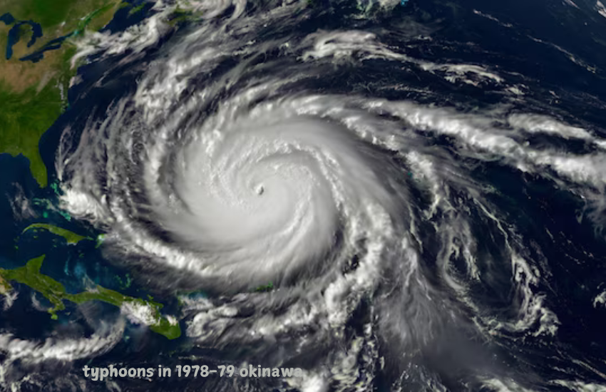 typhoons in 1978-79 okinawa 